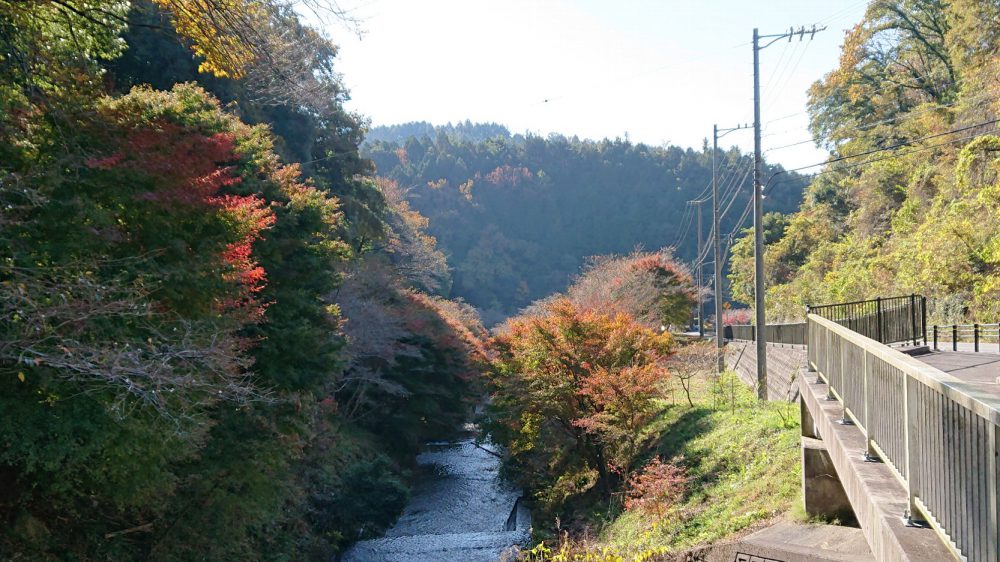 柿ヶ入り遊歩道