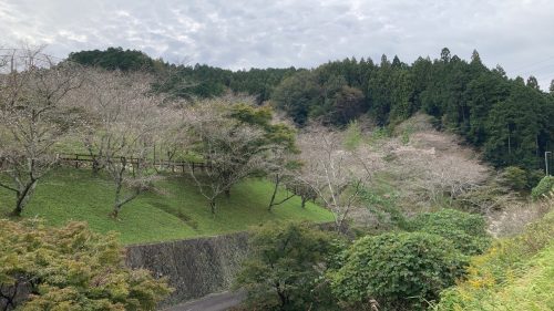 小原ふれあい公園