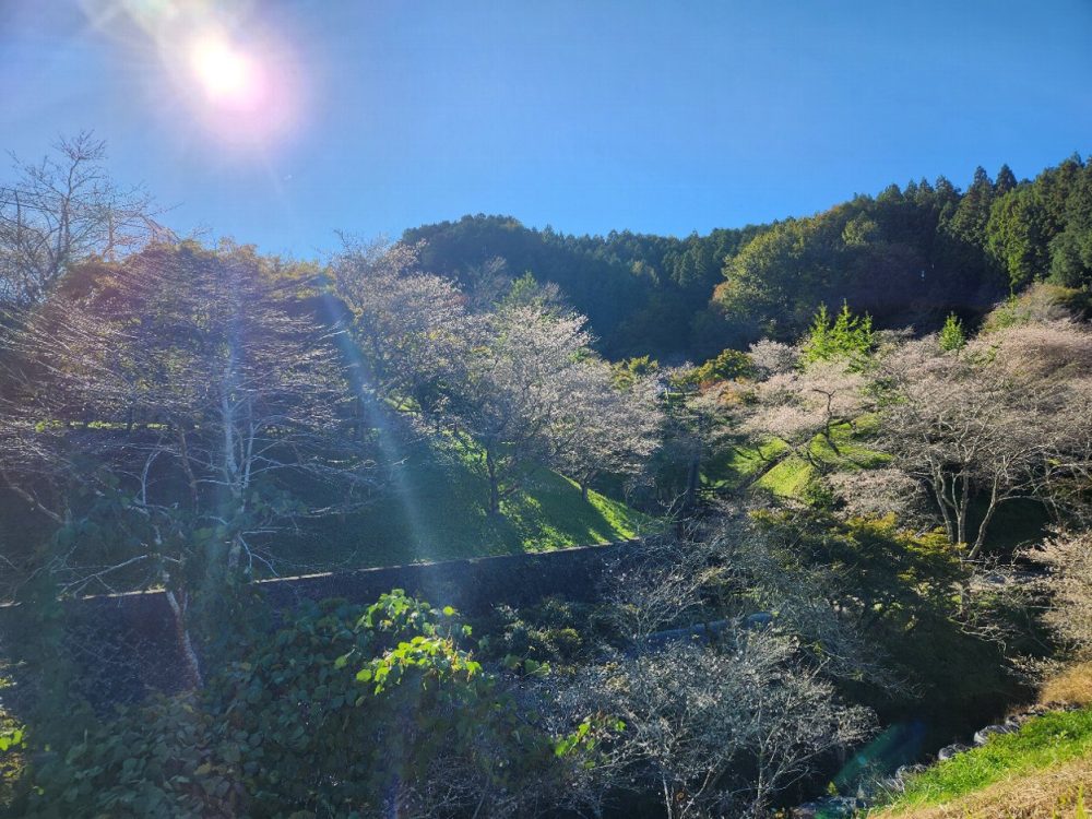 おばらふれあい公園