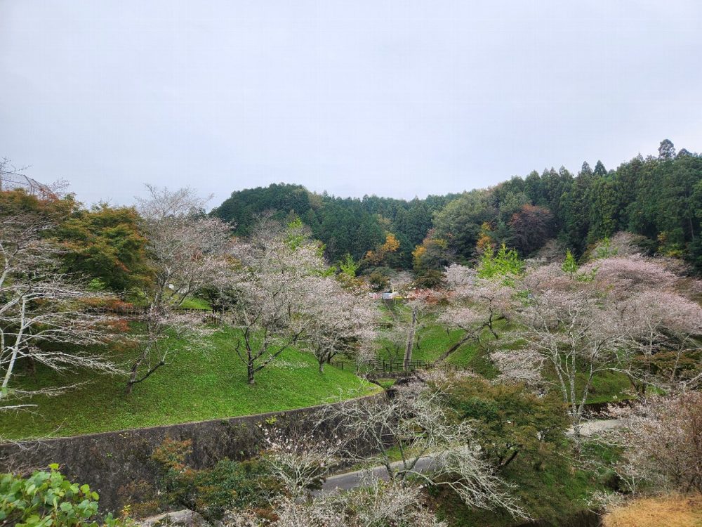 おばらふれあい公園