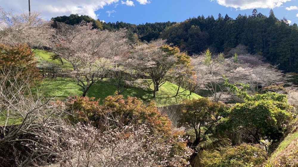 おばらふれあい公園