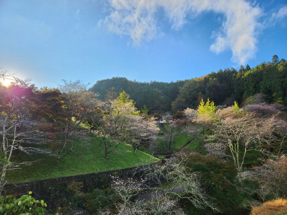 小原ふれあい公園