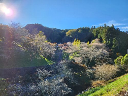 小原ふれあい公園