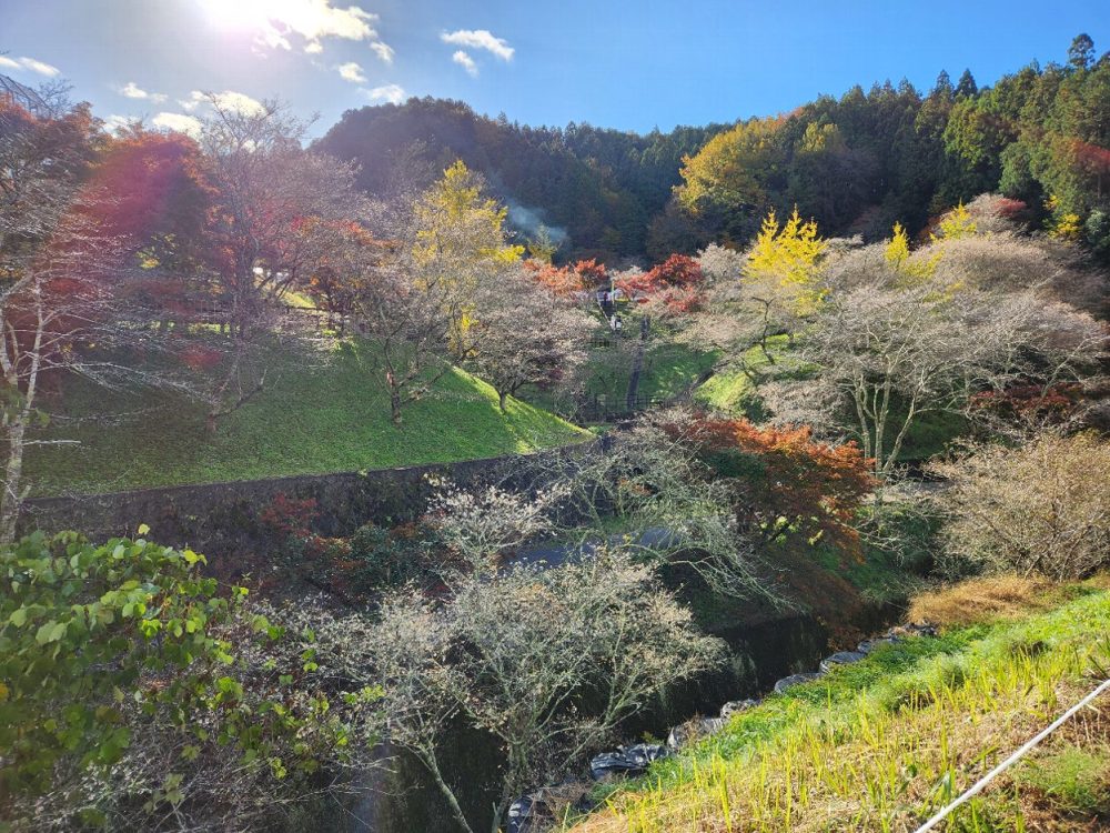 小原ふれあい公園