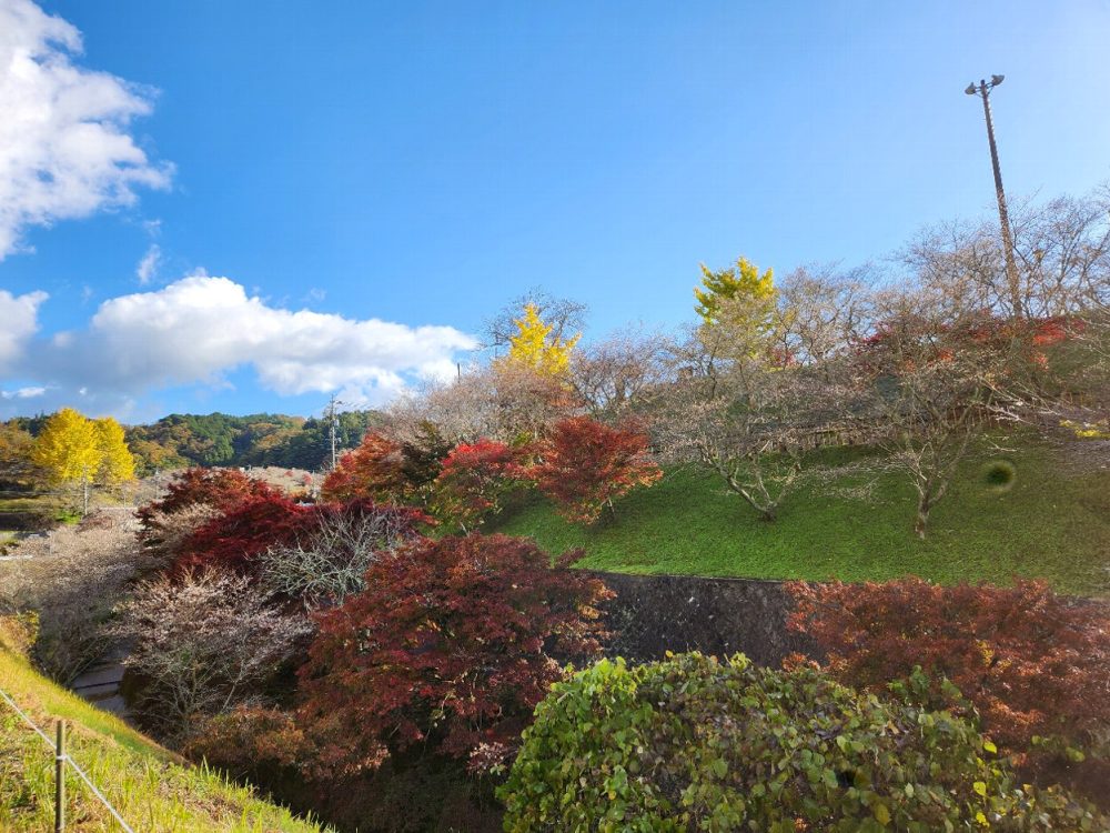 小原ふれあい公園