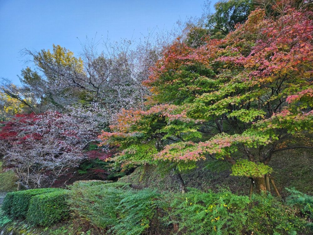 小原ふれあい公園