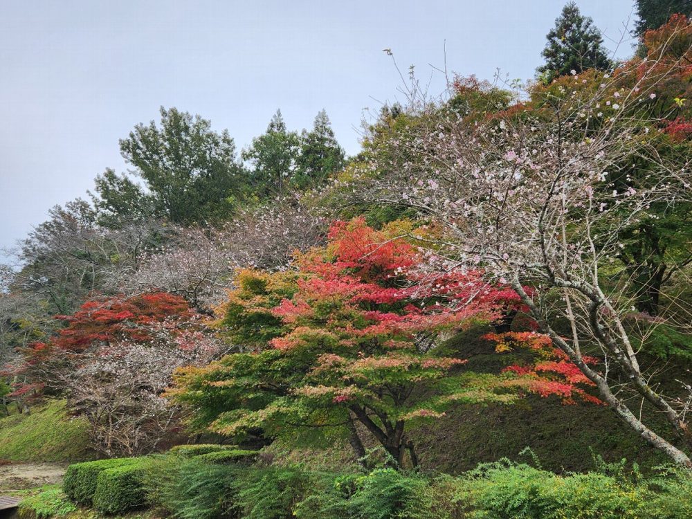 おばらふれあい公園