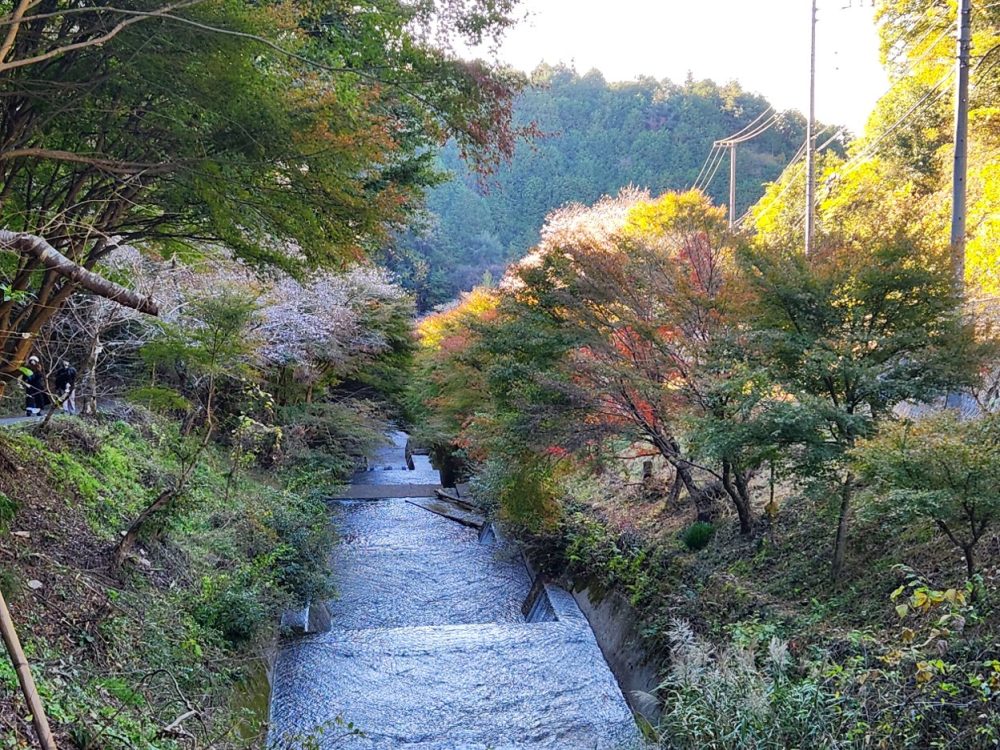 柿ヶ入り遊歩道