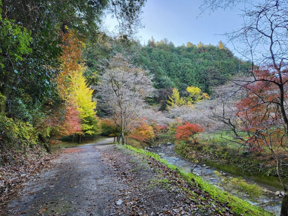 柿ヶ入り遊歩道