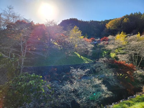 小原ふれあい公園