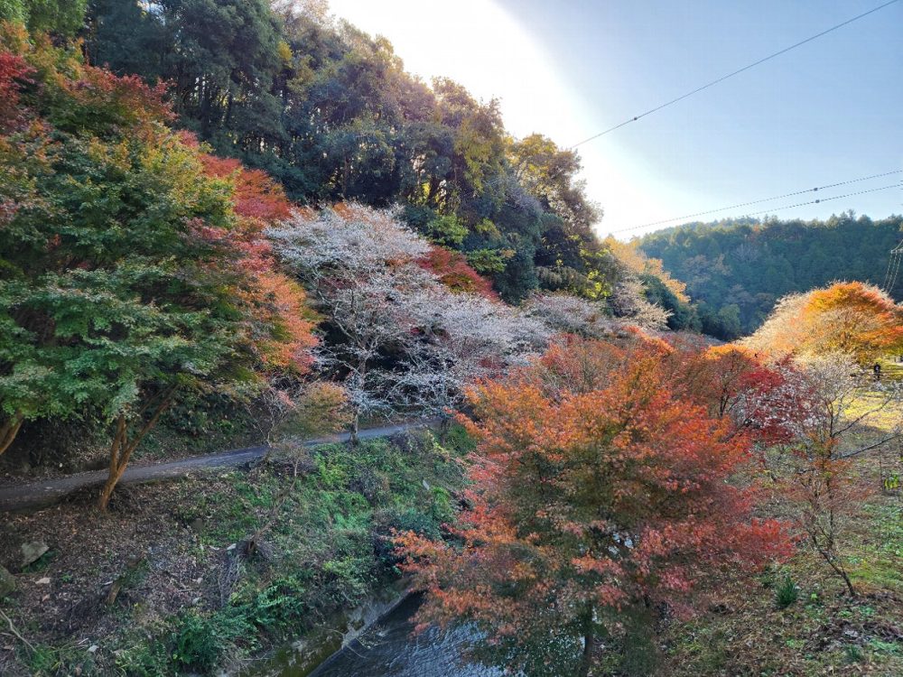 柿ヶ入り遊歩道